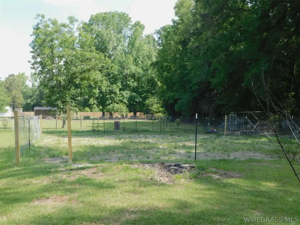 125 Hawkins Road Dozier AL 36028