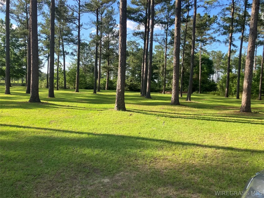 0 Bush Isle Road Andalusia AL 36421