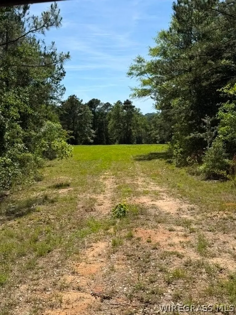 0 County Road 225 Ozark AL 36311