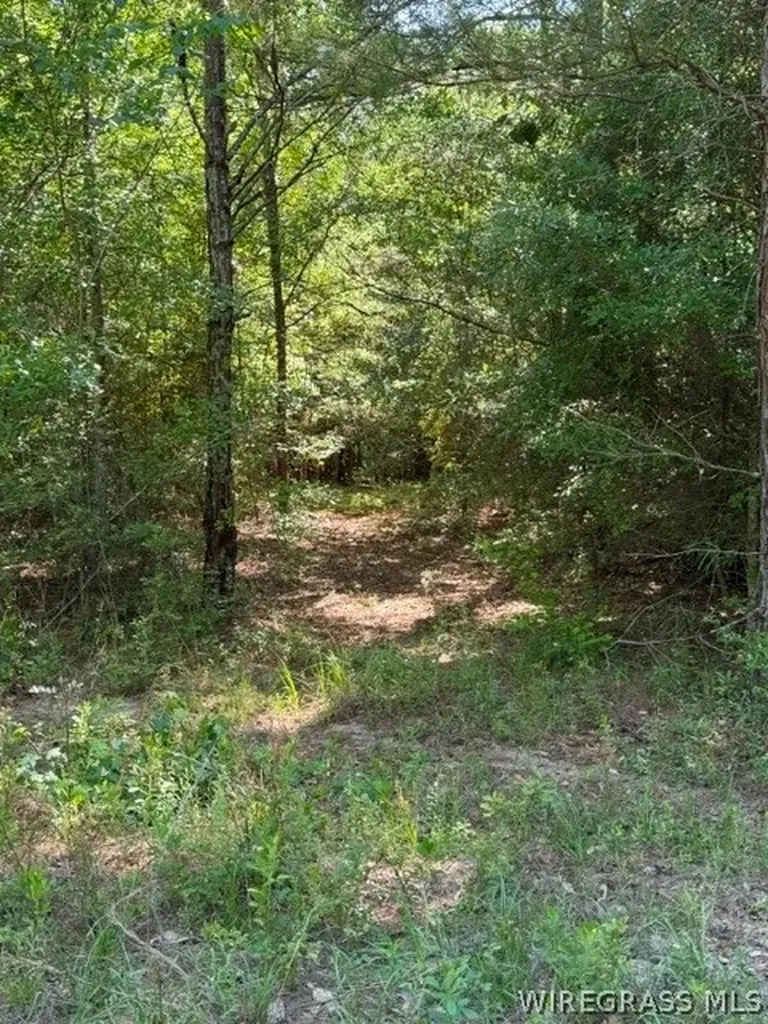 0 County Road 225 Ozark AL 36311