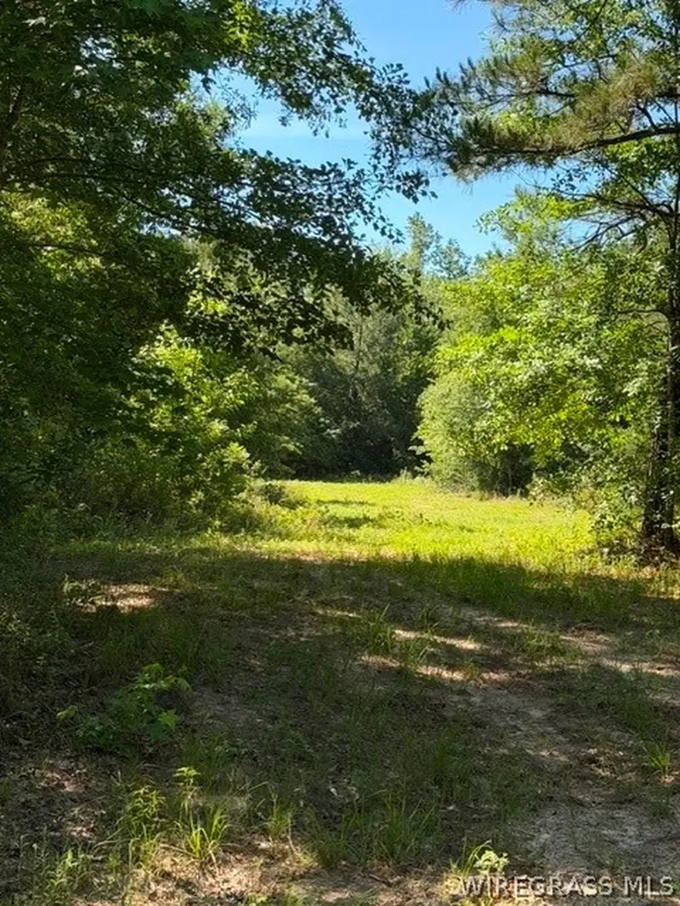 0 County Road 225 Ozark AL 36311