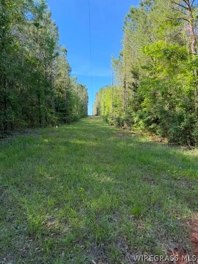 0 County Road 225 Ozark AL 36311