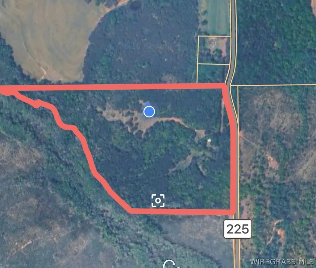 0 County Road 225 Ozark AL 36311