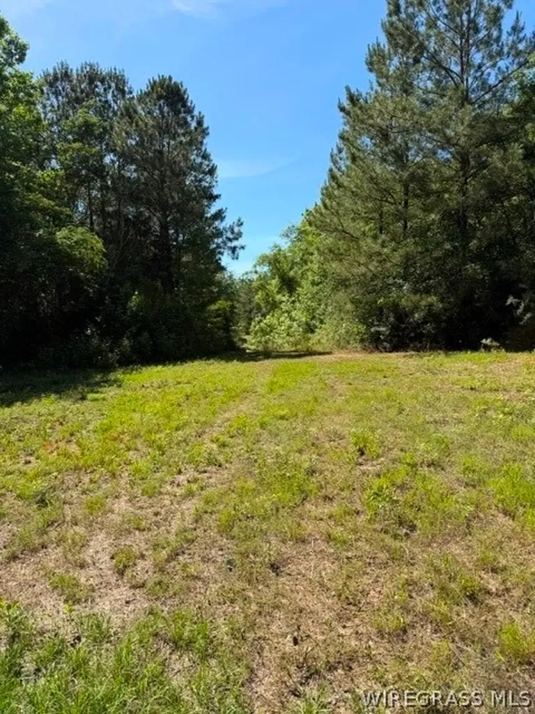0 County Road 225 Ozark AL 36311