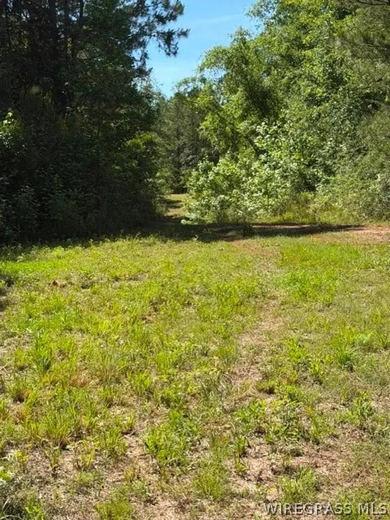 0 County Road 225 Ozark AL 36311