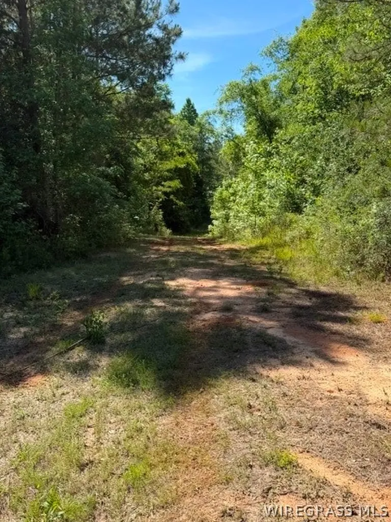 0 County Road 225 Ozark AL 36311
