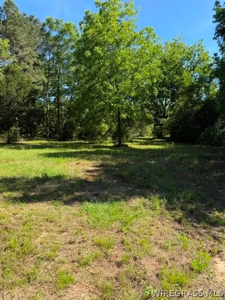 0 County Road 225 Ozark AL 36311