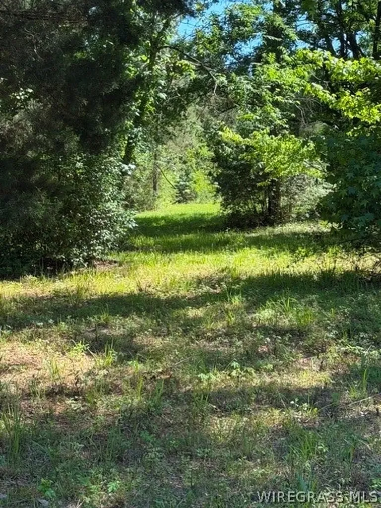 0 County Road 225 Ozark AL 36311