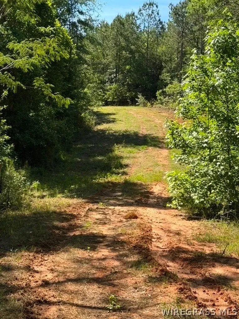 0 County Road 225 Ozark AL 36311