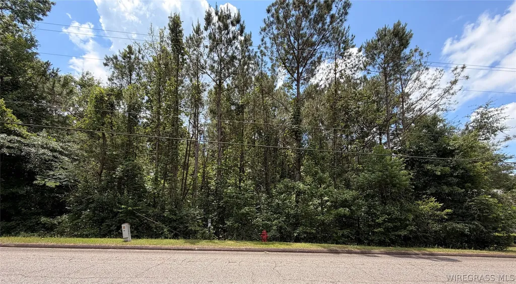 614 Spradley Drive Troy AL 36079