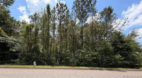 614 Spradley Drive Troy AL 36079