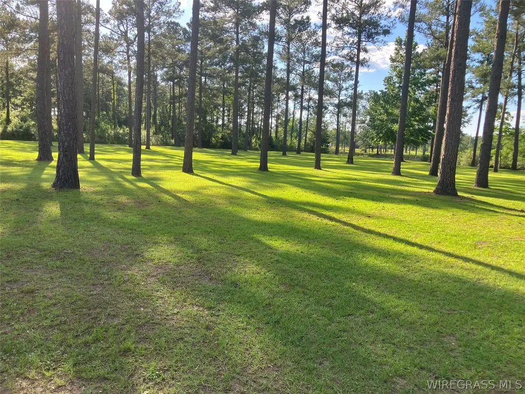 1 Bush Isle Road Andalusia AL 36421