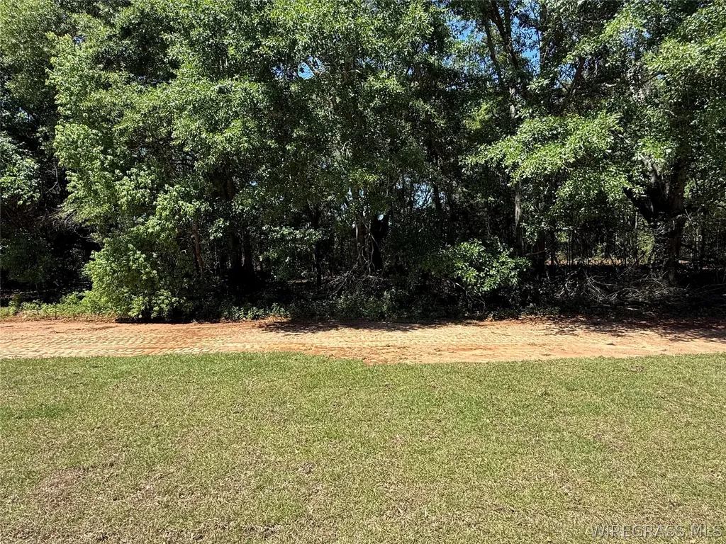 401 Coppinville Road Enterprise AL 36330