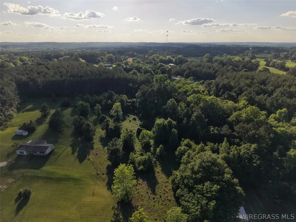 0 Highway 105 Highway Ozark AL 36360