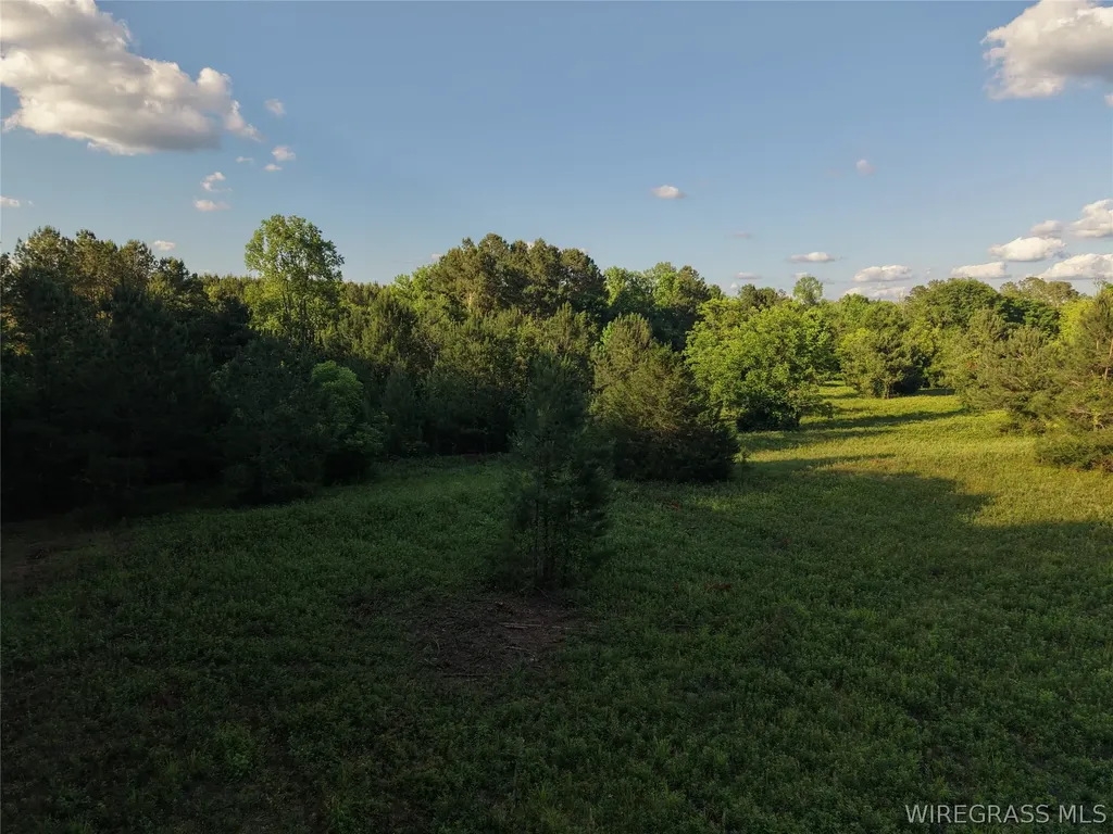0 Highway 105 Highway Ozark AL 36360