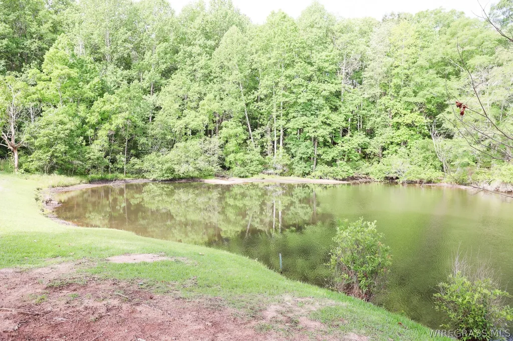 250 Hank Nix Drive Ozark AL 36360