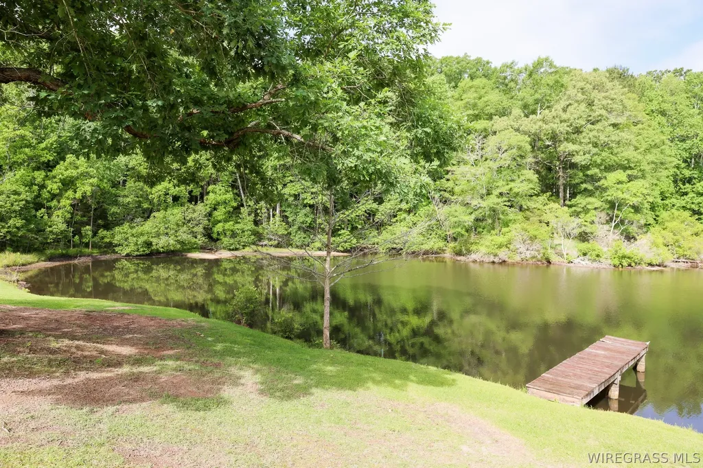 250 Hank Nix Drive Ozark AL 36360