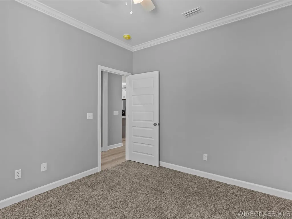 247 County Road 166 New Brockton AL 36351