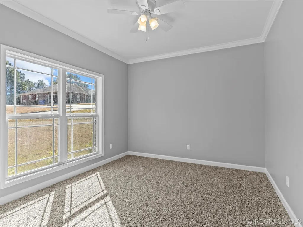 247 County Road 166 New Brockton AL 36351