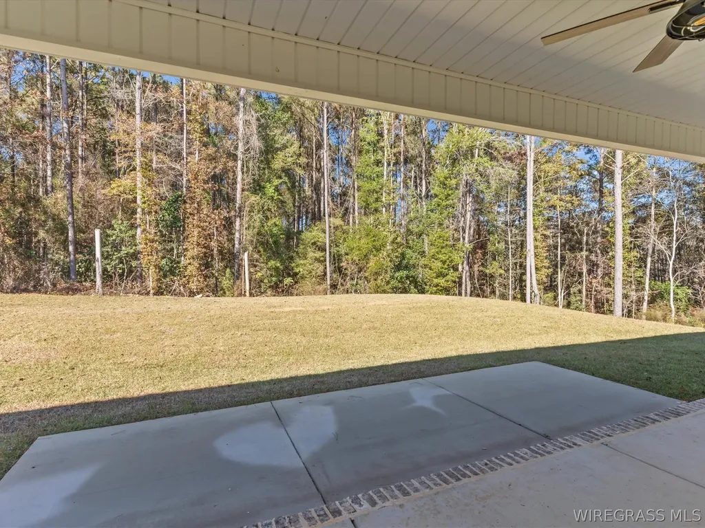 247 County Road 166 New Brockton AL 36351