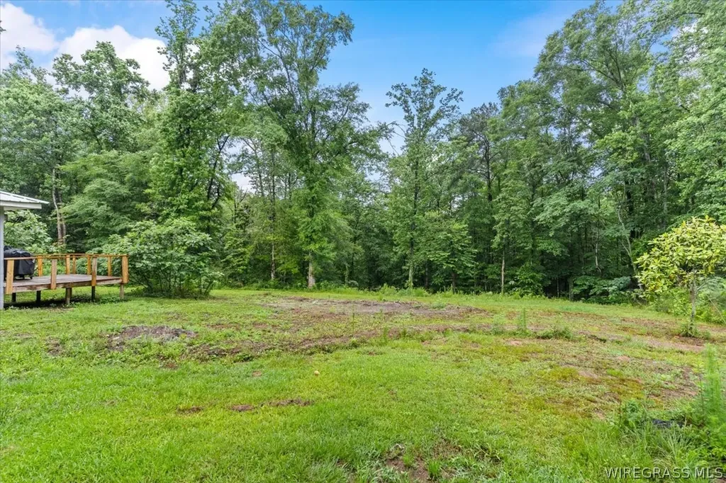 2116 Andrews Avenue Ozark AL 36360