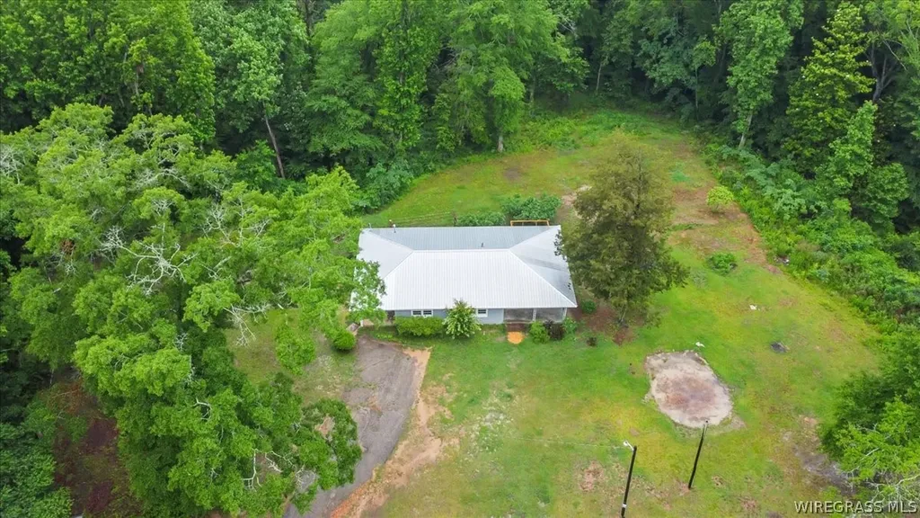 2116 Andrews Avenue Ozark AL 36360