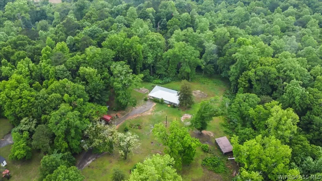 2116 Andrews Avenue Ozark AL 36360