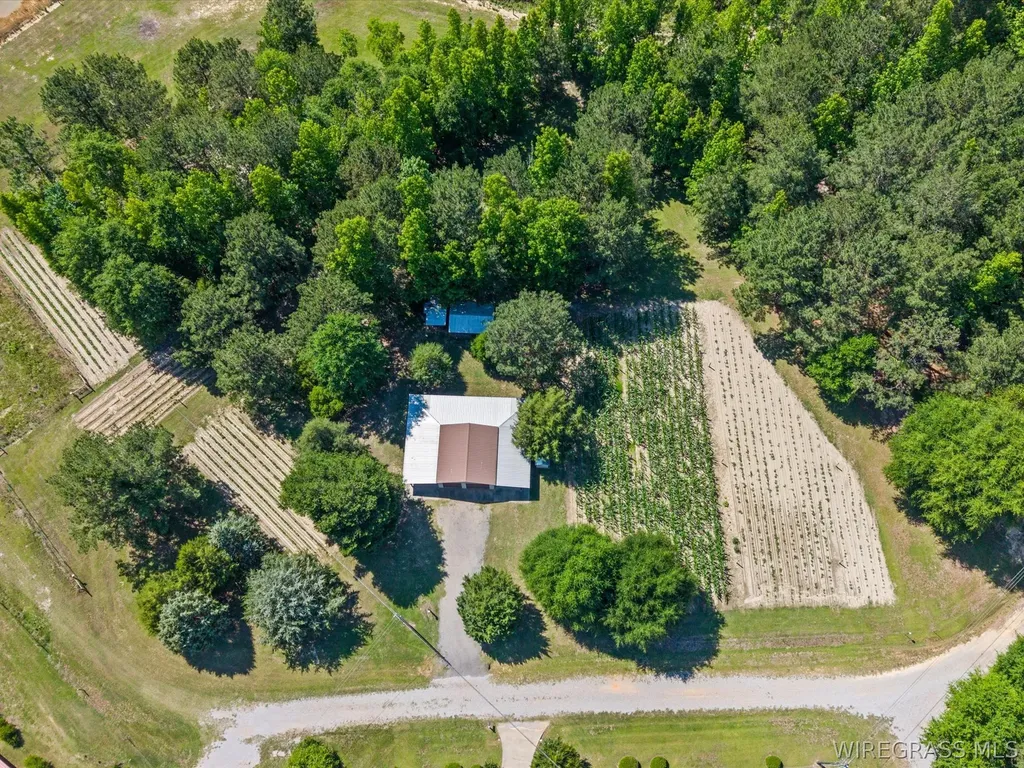 32724 Bozeman Road Dozier AL 36028