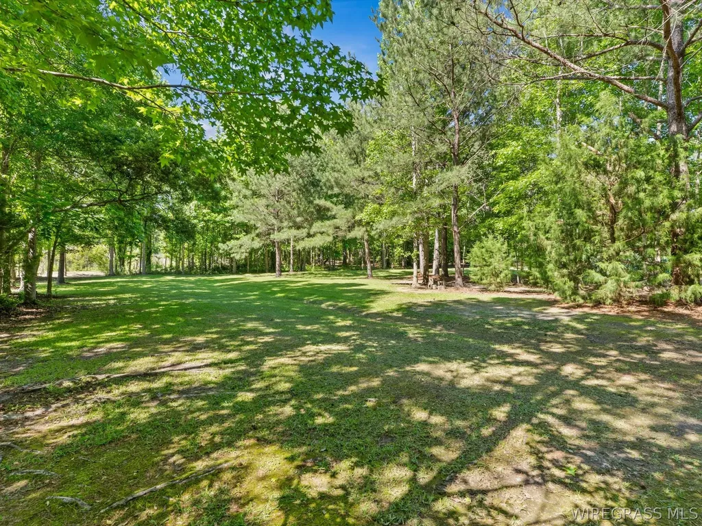 32724 Bozeman Road Dozier AL 36028