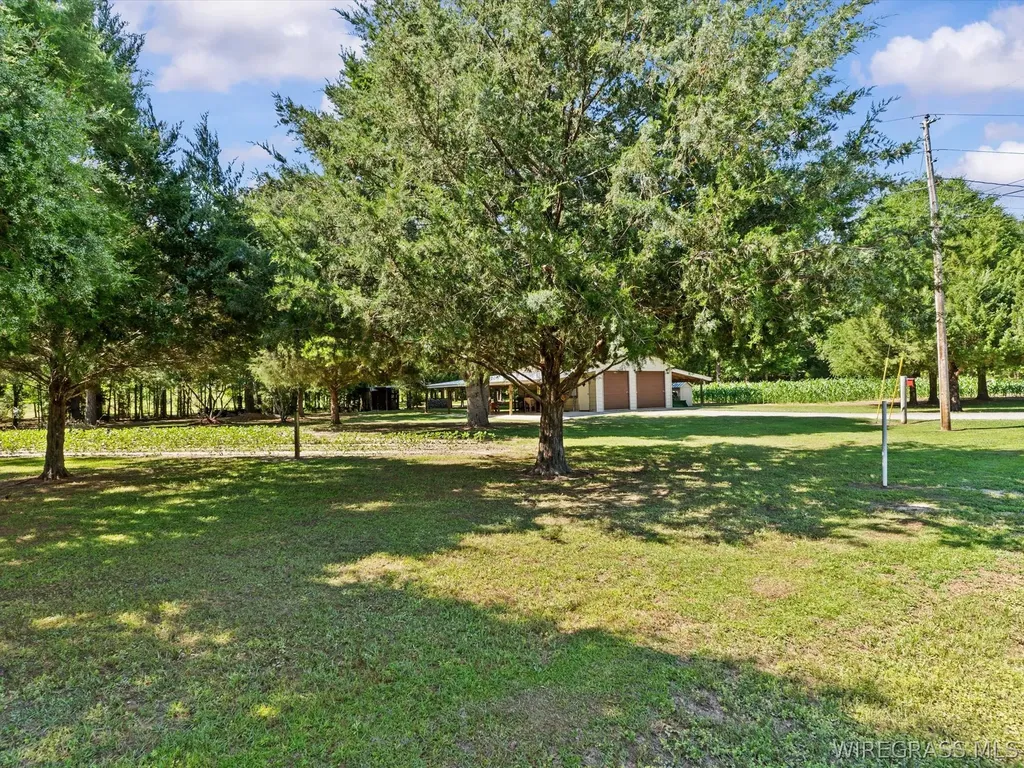 32724 Bozeman Road Dozier AL 36028