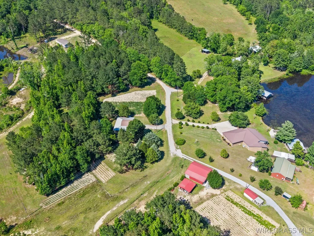 32724 Bozeman Road Dozier AL 36028