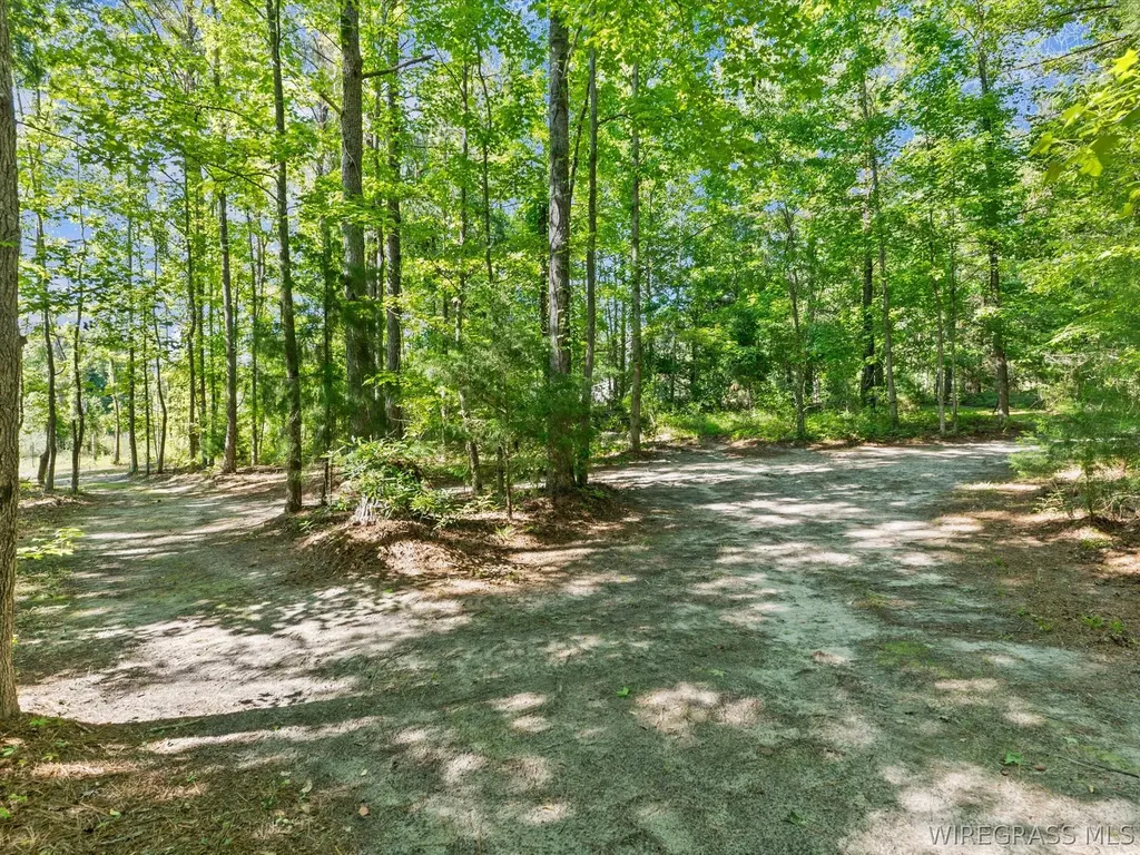 32724 Bozeman Road Dozier AL 36028