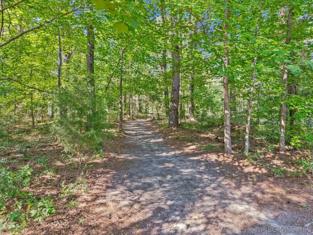32724 Bozeman Road Dozier AL 36028