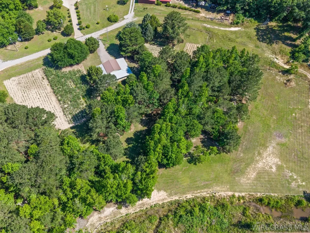 32724 Bozeman Road Dozier AL 36028