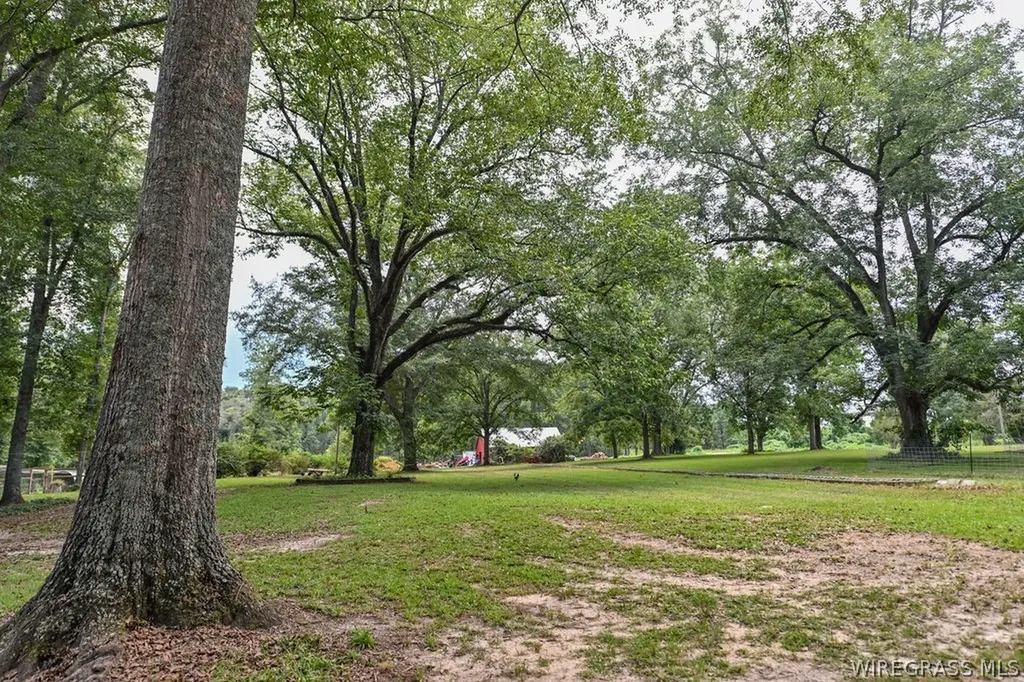 4496 Highway 130 Banks AL 36005