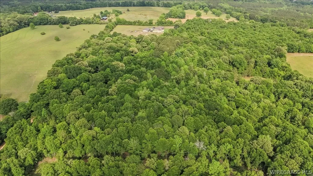 0 County Road 534 New Brockton AL 36351