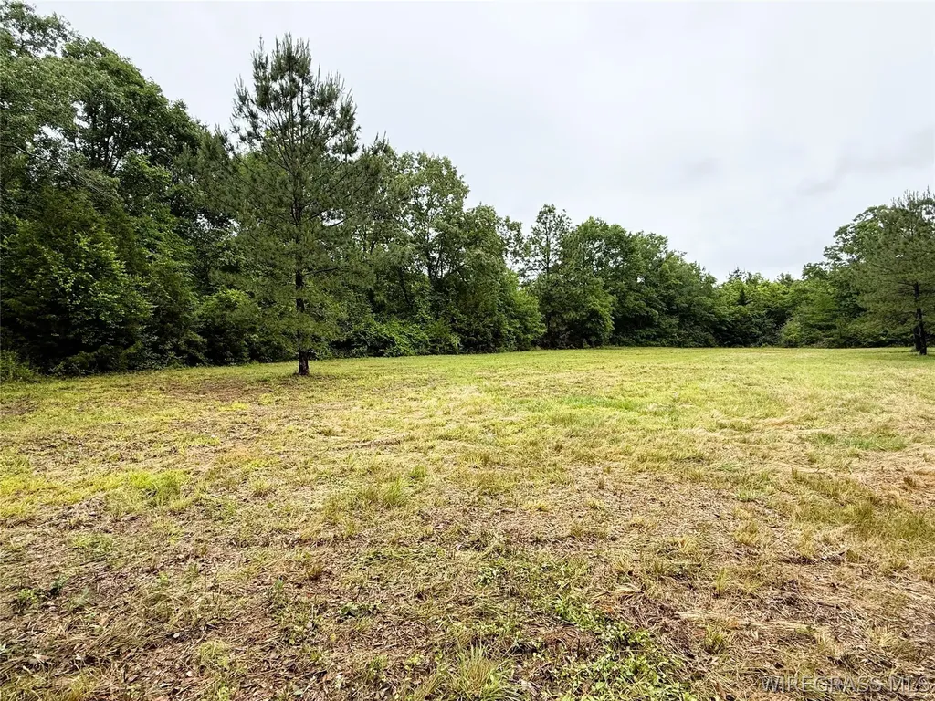 0 County Road 534 New Brockton AL 36351