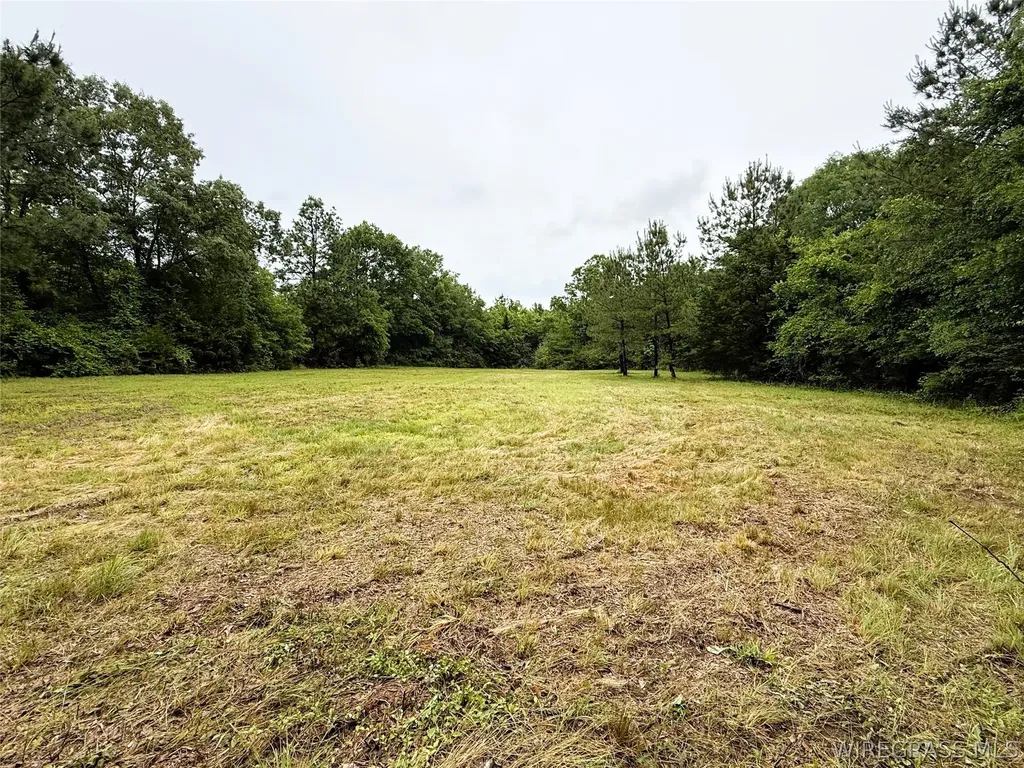 0 County Road 534 New Brockton AL 36351