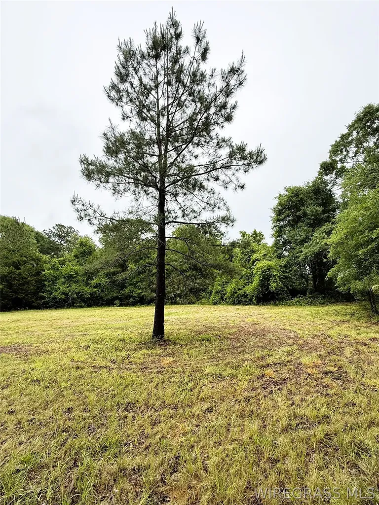 0 County Road 534 New Brockton AL 36351