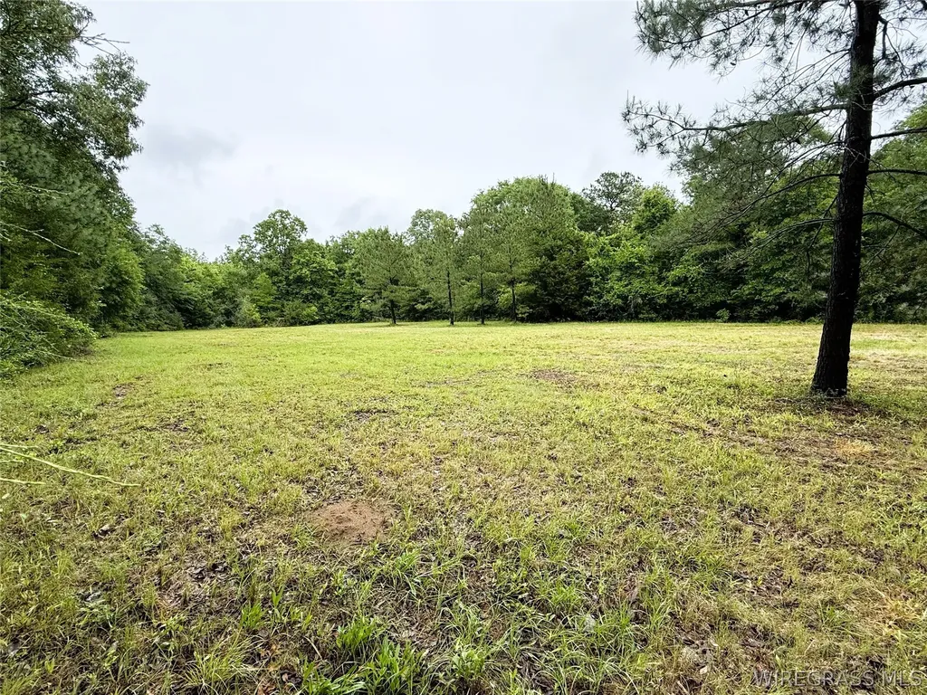 0 County Road 534 New Brockton AL 36351