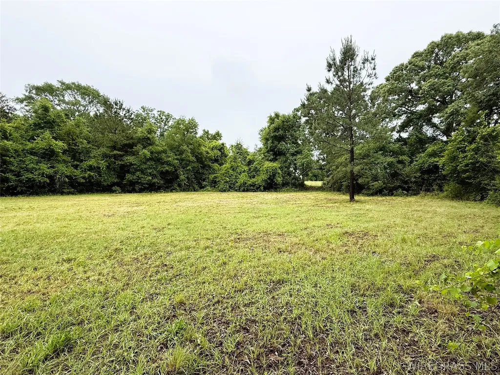 0 County Road 534 New Brockton AL 36351