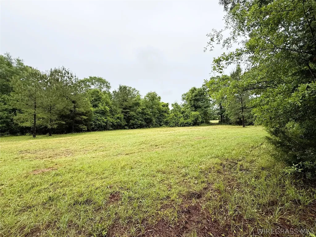 0 County Road 534 New Brockton AL 36351