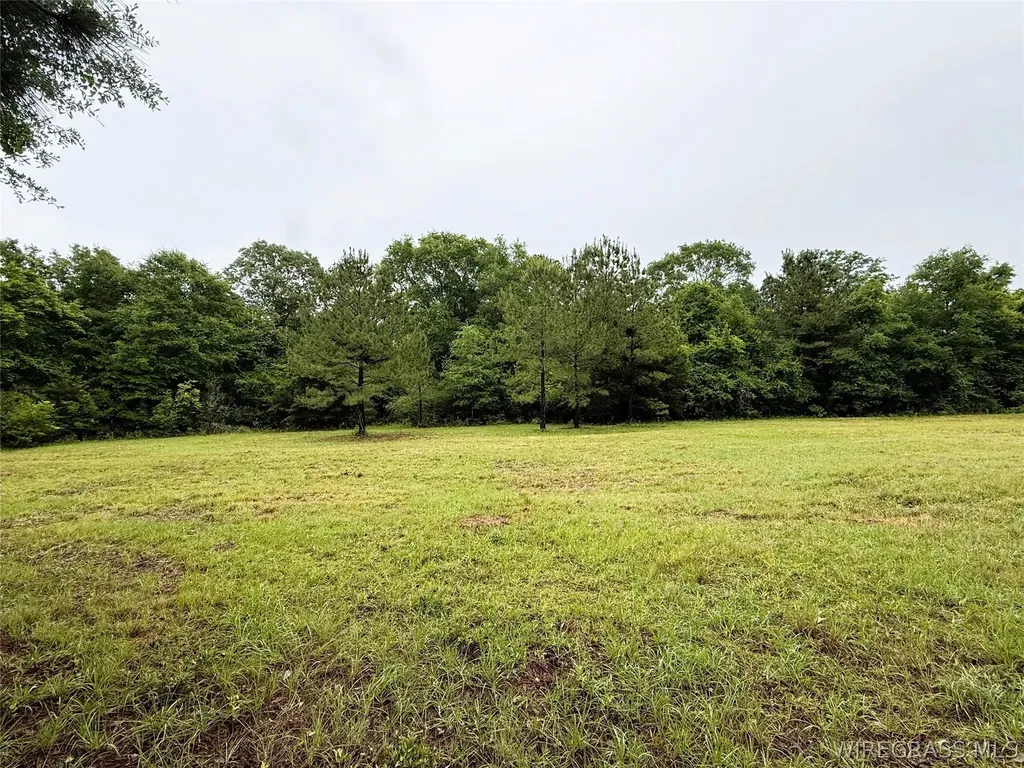 0 County Road 534 New Brockton AL 36351
