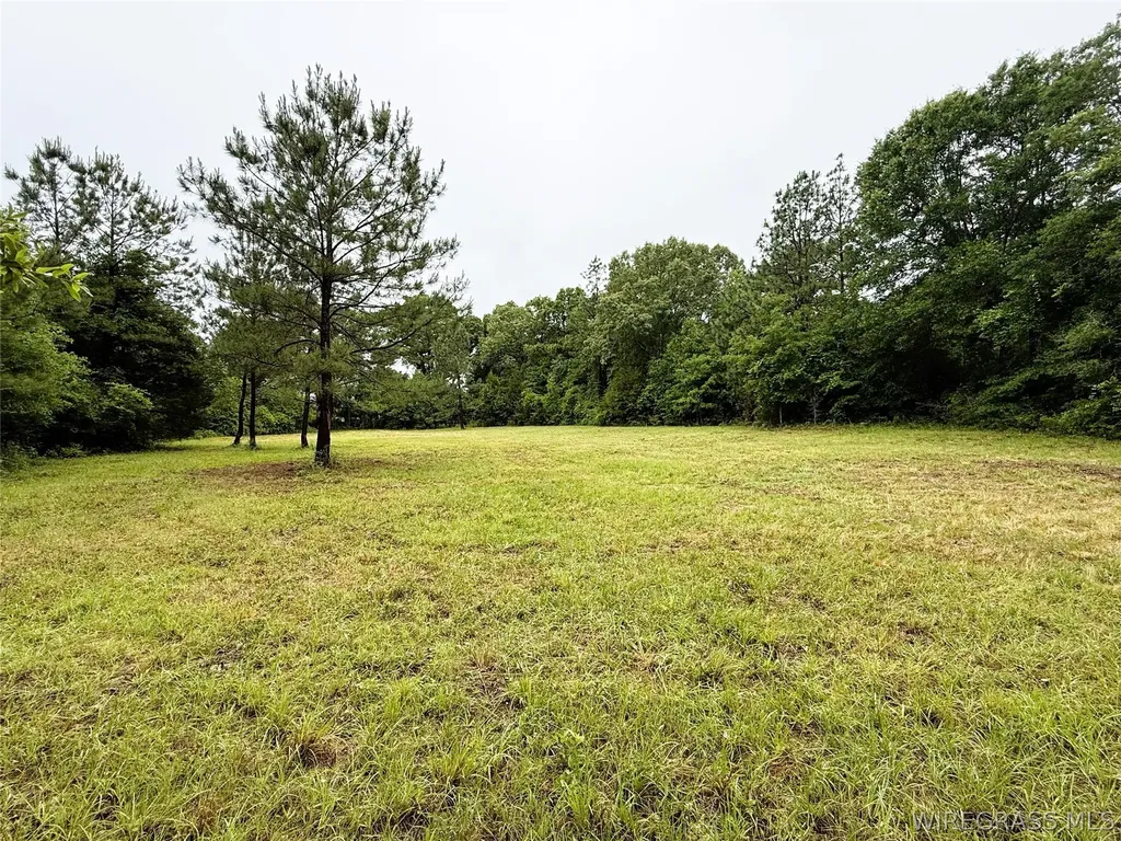0 County Road 534 New Brockton AL 36351