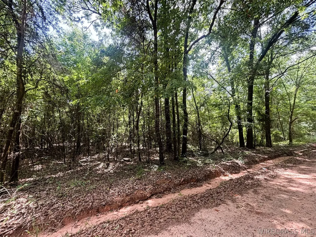 0 County Road 534 New Brockton AL 36351