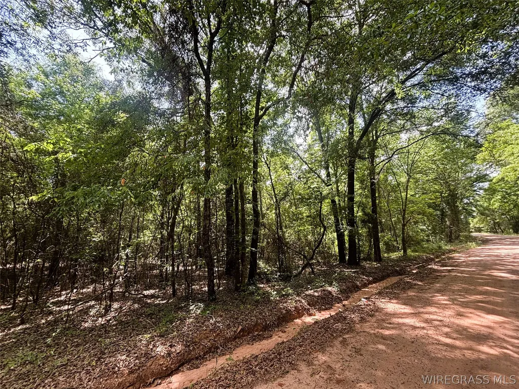 0 County Road 534 New Brockton AL 36351