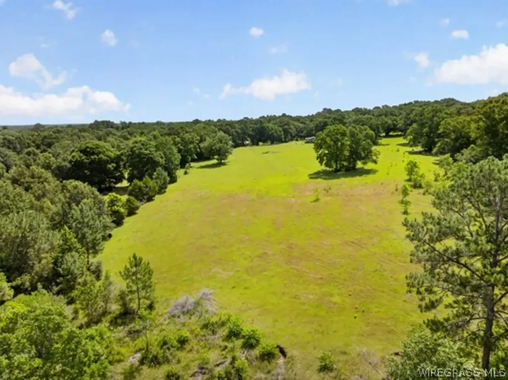 0 Highway 153 Highway Samson AL 36477