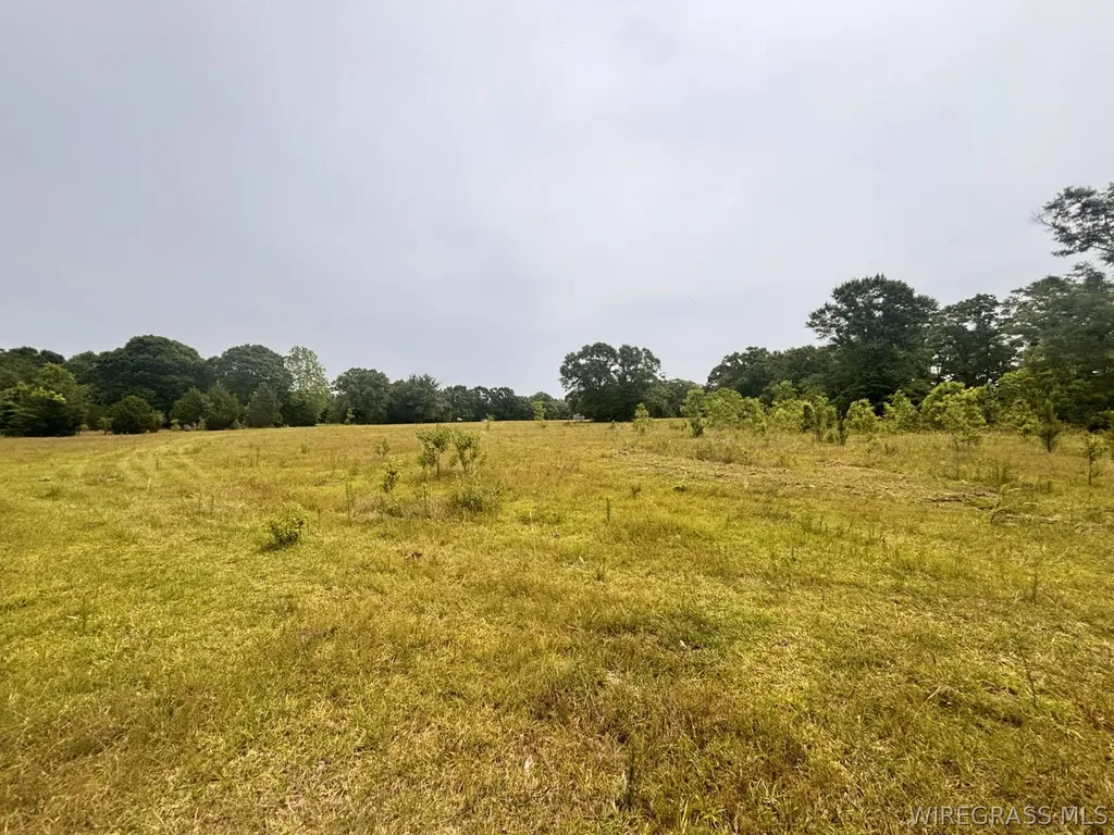 0 Highway 153 Highway Samson AL 36477