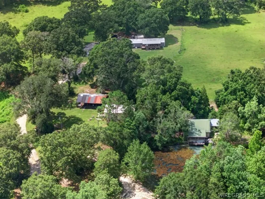0 Highway 153 Highway Samson AL 36477