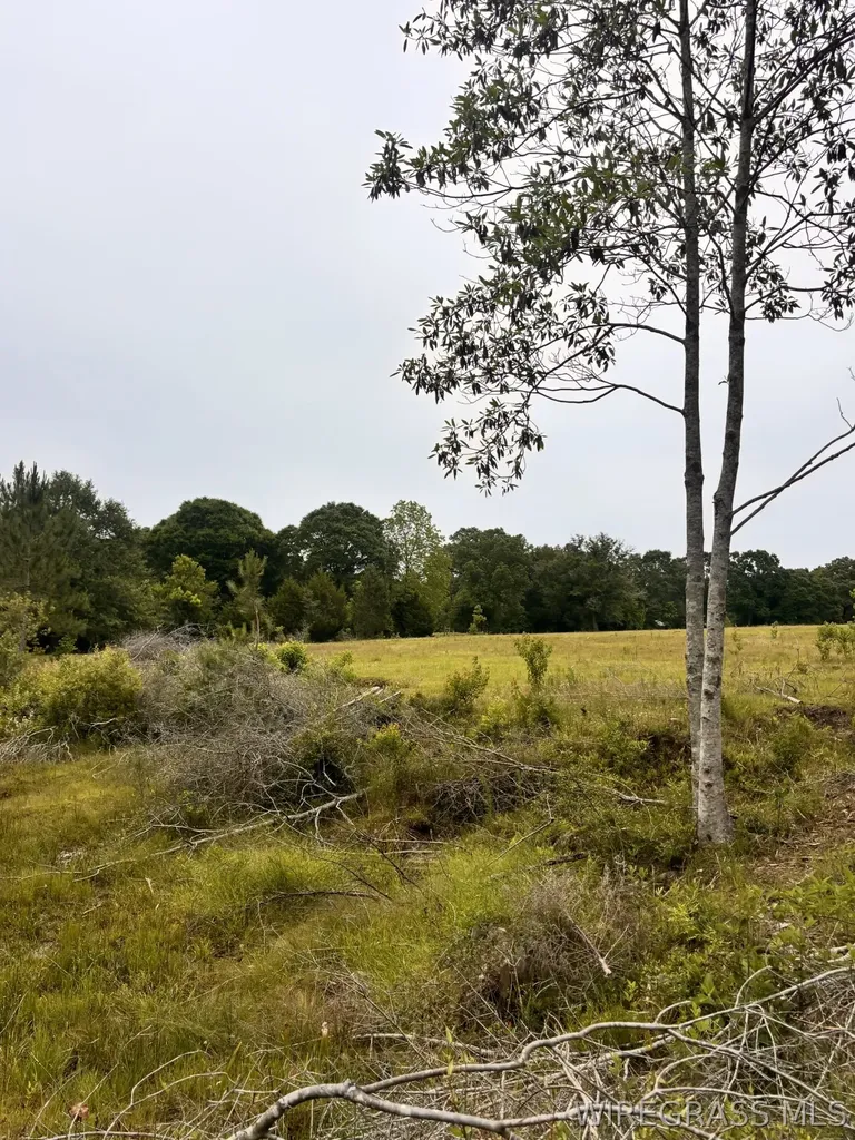 0 Highway 153 Highway Samson AL 36477